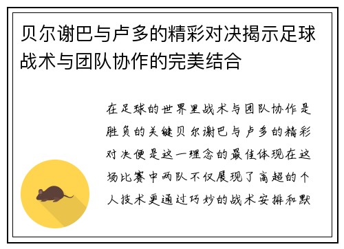 贝尔谢巴与卢多的精彩对决揭示足球战术与团队协作的完美结合